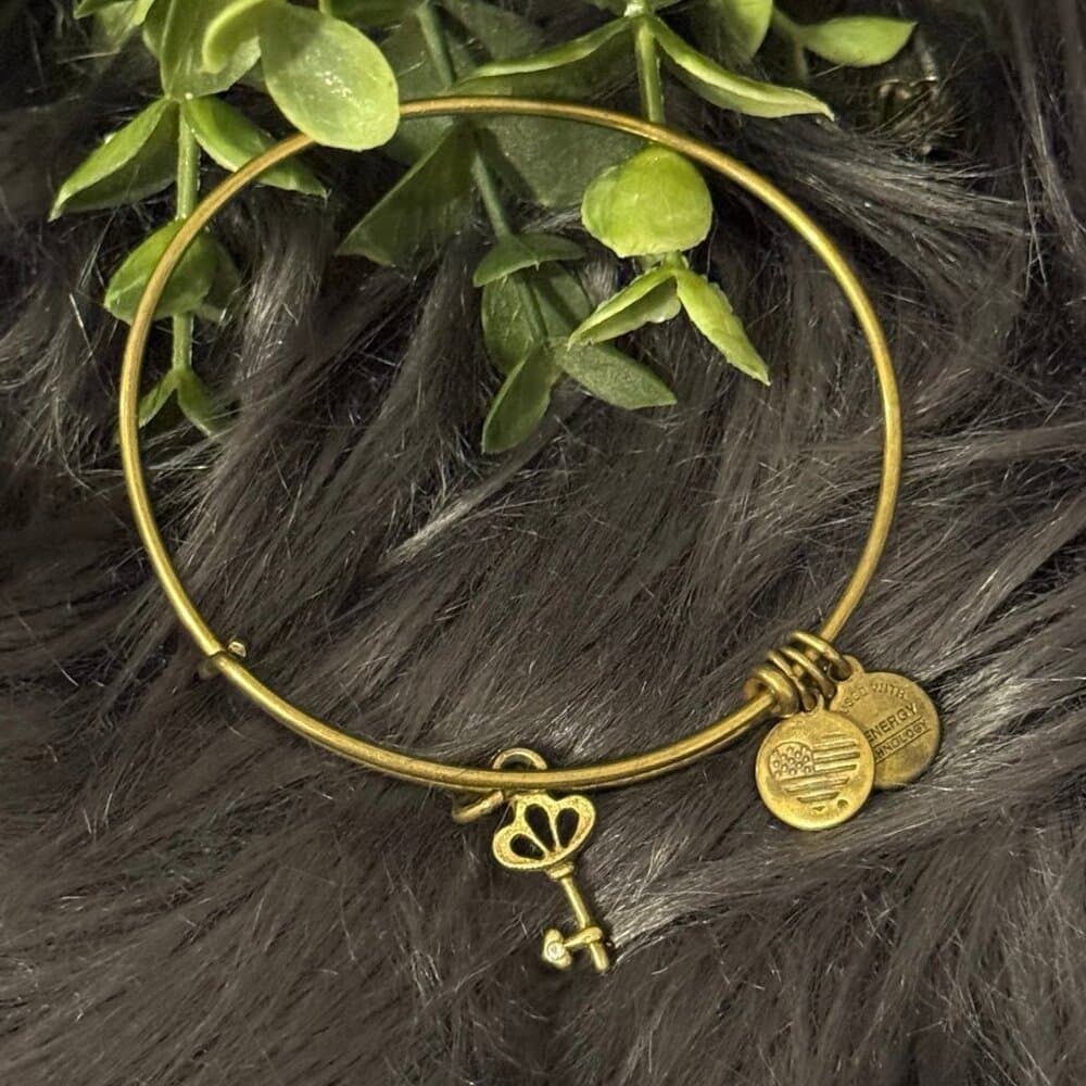 Alex and Ani Key Bracelet