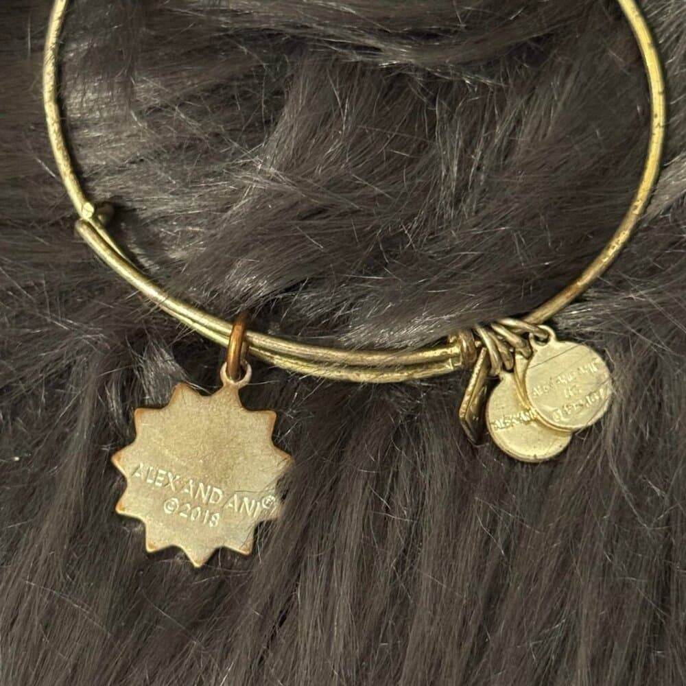 Alex and Ani You Are My Sunshine Bracelet - Thumbnail 3
