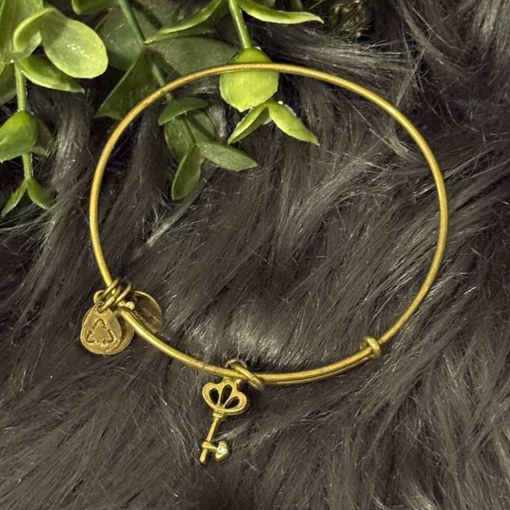 Alex and Ani Key Bracelet - Thumbnail 2