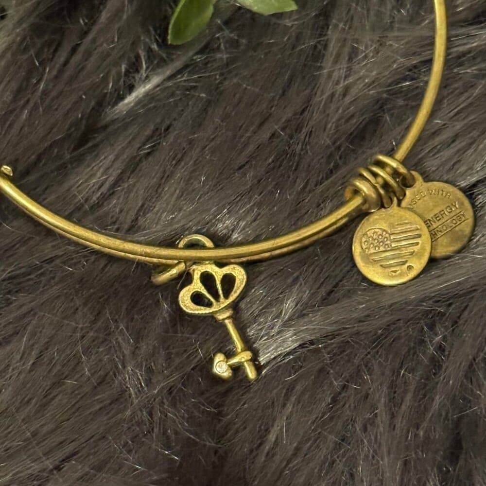 Alex and Ani Key Bracelet - Thumbnail 3