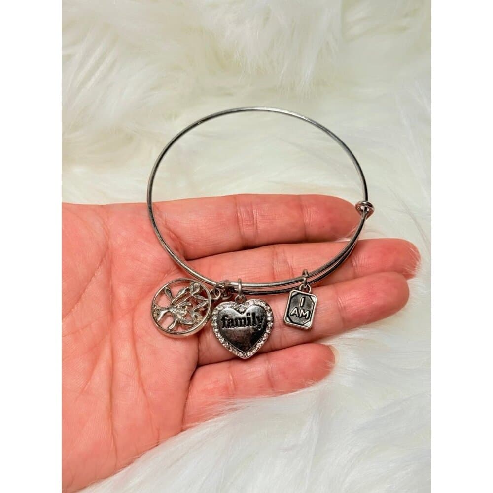 I Am Family Heart Charm Bracelet (c1)