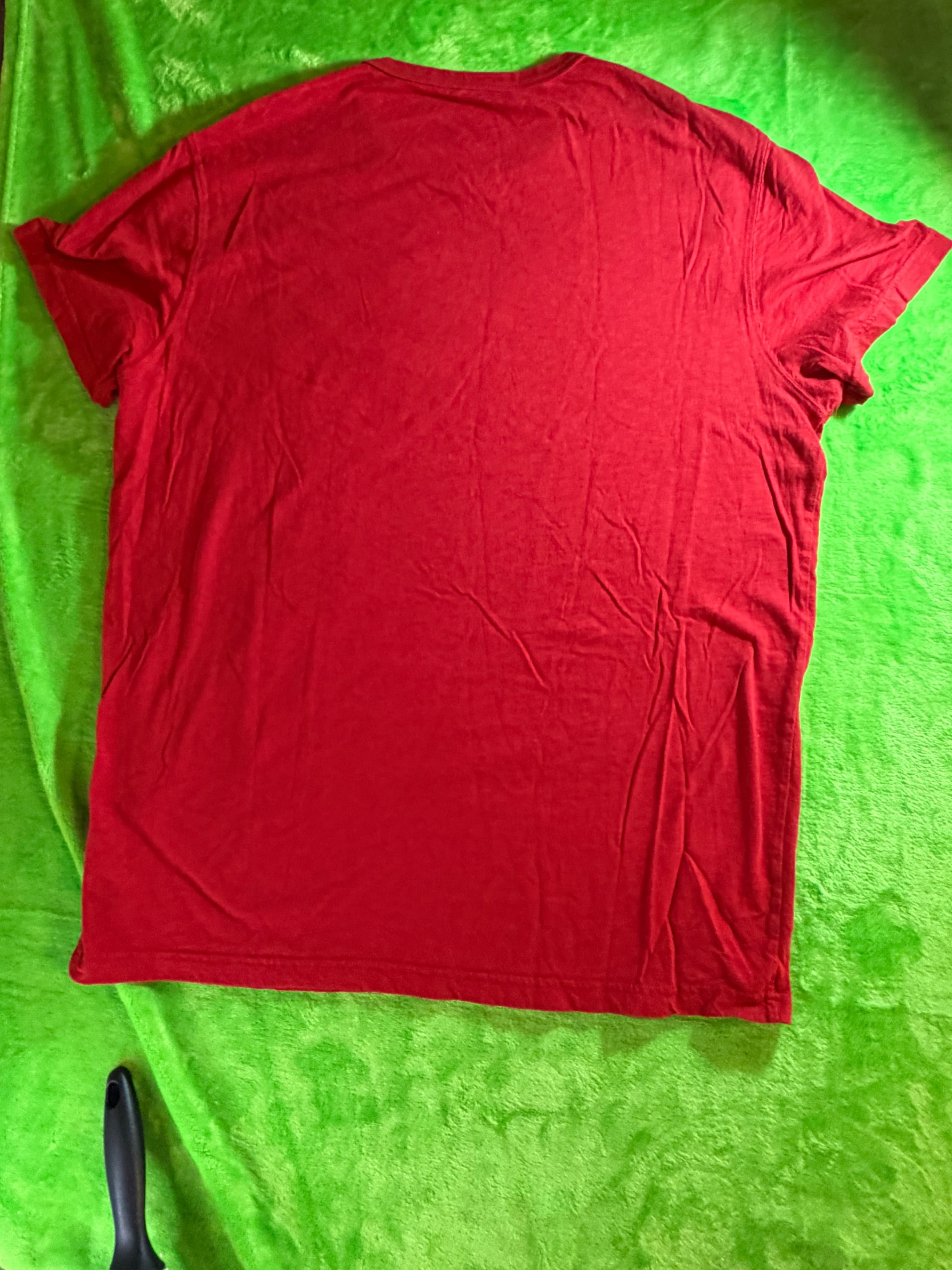American Eagle Outfitters Eagle 1977 Applique T-Shirt Men's L Red Athletic Fit - Thumbnail 2