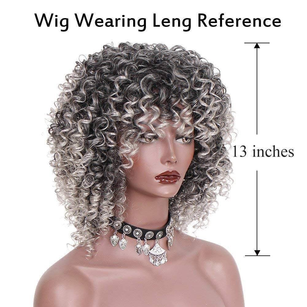 Salt and Pepper Gray/ Kinky Curly Wig/Wi Exquisite Black Short Kinky Curly/ Synthetic Afro/ with Bangs for Black Women Heat Resistant Hair - Thumbnail 3