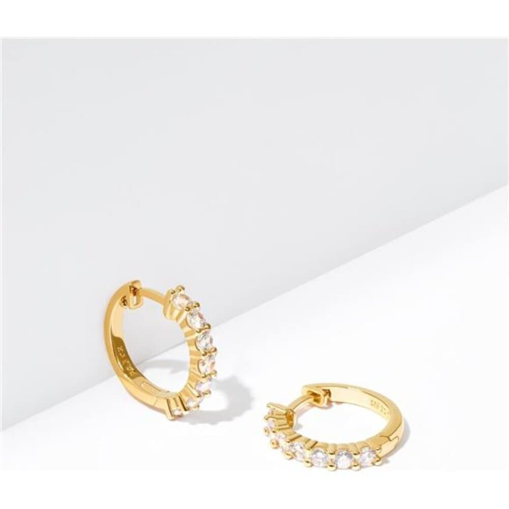 Beautiful Hinged Huggie Hoop Earrings - Thumbnail 5