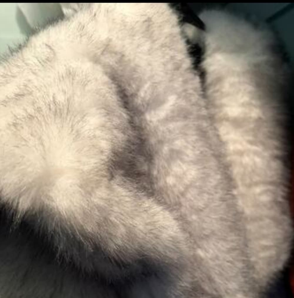 Luxurious Silver Faux Fur Coat - Thumbnail 11