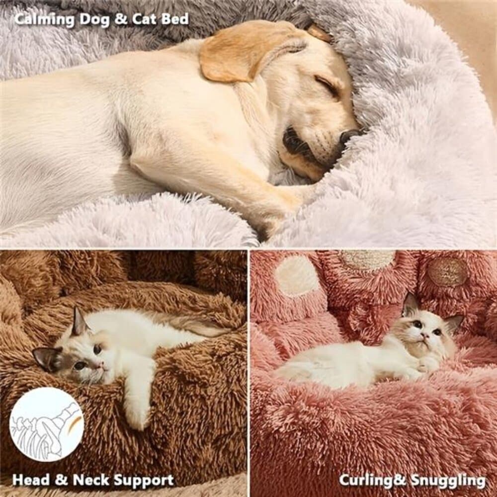 1pc Bear Paw Pet Bed for Dogs And Cats, Plush Pet Bed, Cute Warm Cozy Soft Dog - Thumbnail 7
