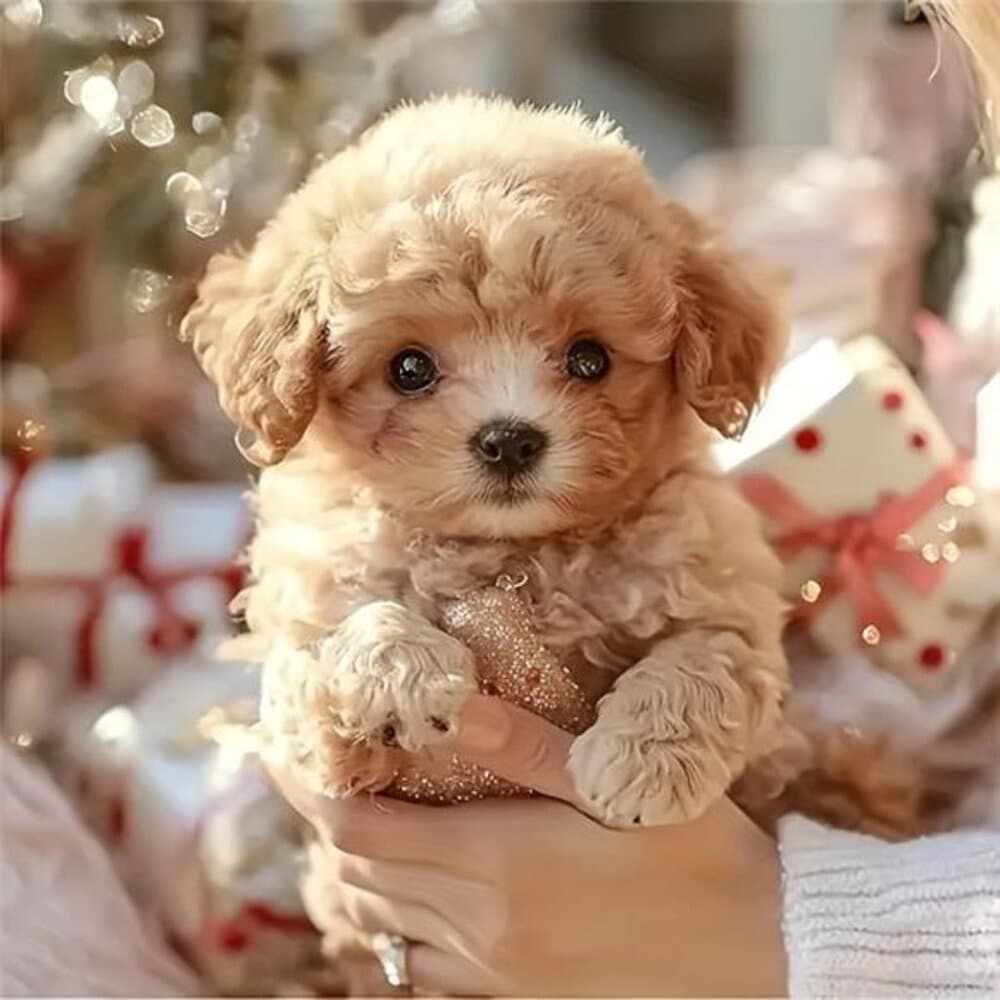 New Robot Dog, Robot Puppy That Acts Like A Real Puppy!! - Thumbnail 2