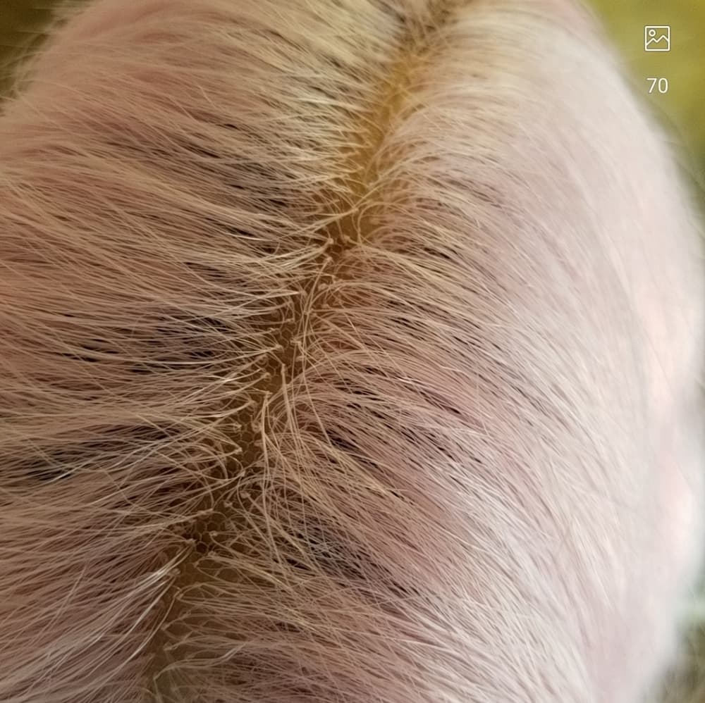Rainbow Beauty Lace Front Wig - Thumbnail 7