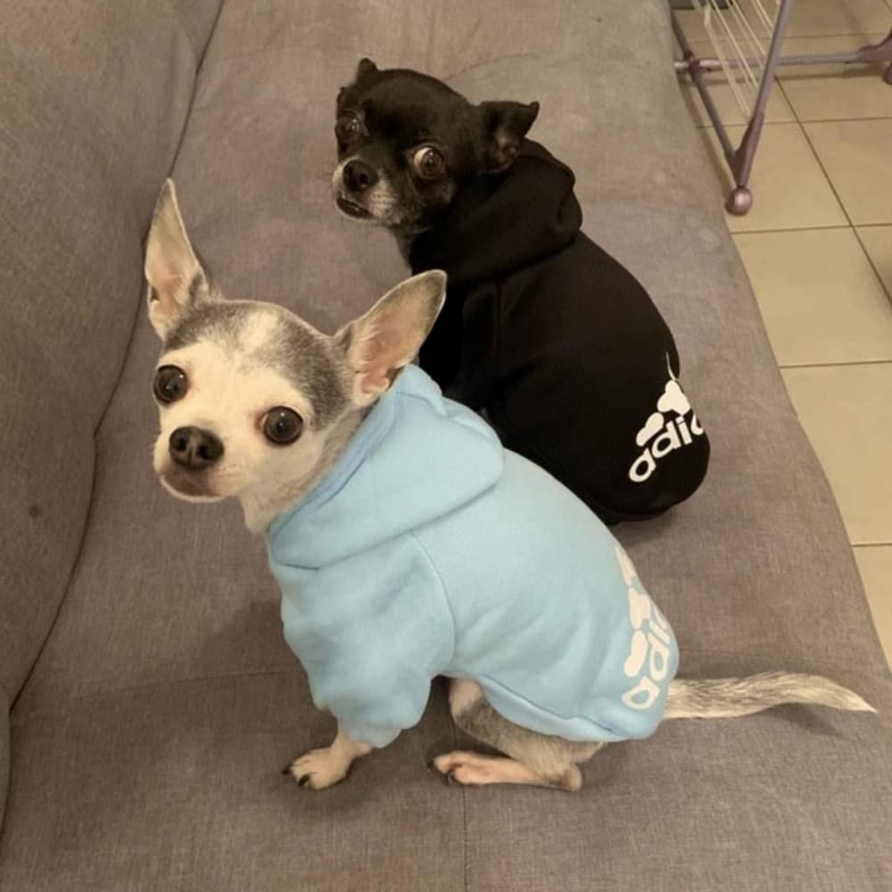 Dogs Hoodies Fleece Warm - Thumbnail 6