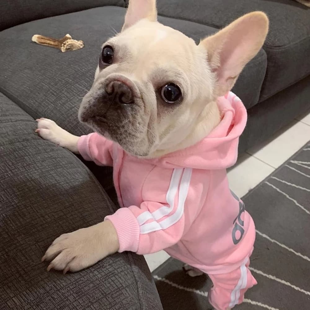 Dogs Hoodies Fleece Warm Dog Clothes - Thumbnail 11