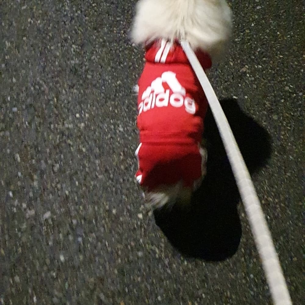 Dogs Hoodies Fleece Warm Dog Clothes - Thumbnail 7