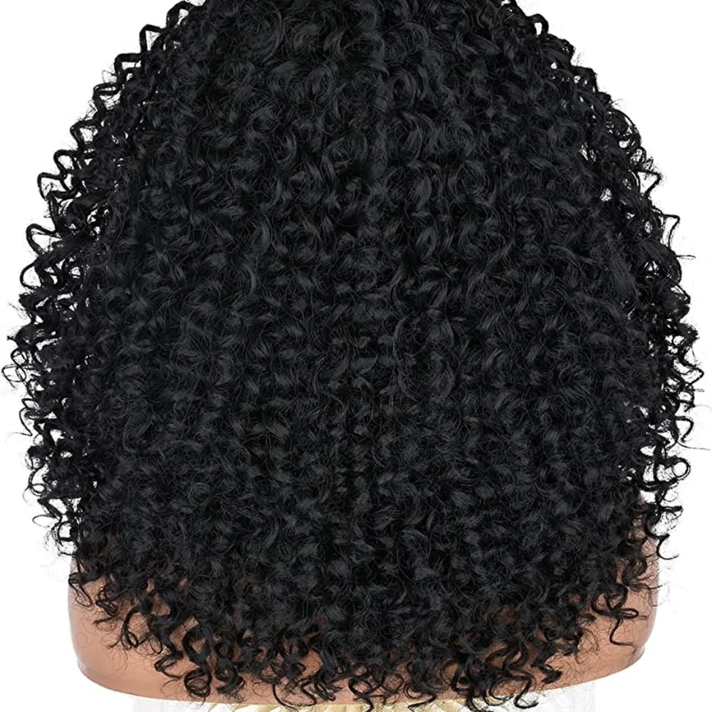 Afro Kinky Curly Lace Wig - Thumbnail 2