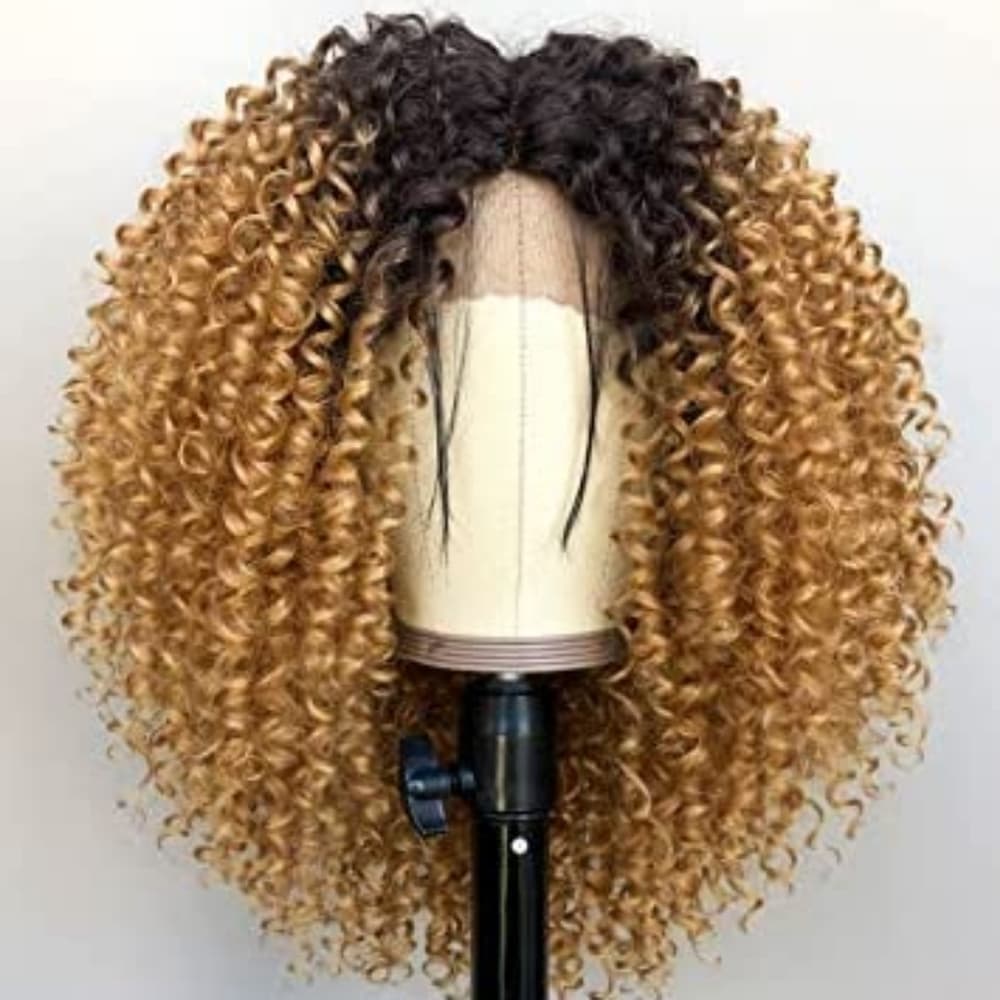 Ombre Big Curly Beauty Full Wig