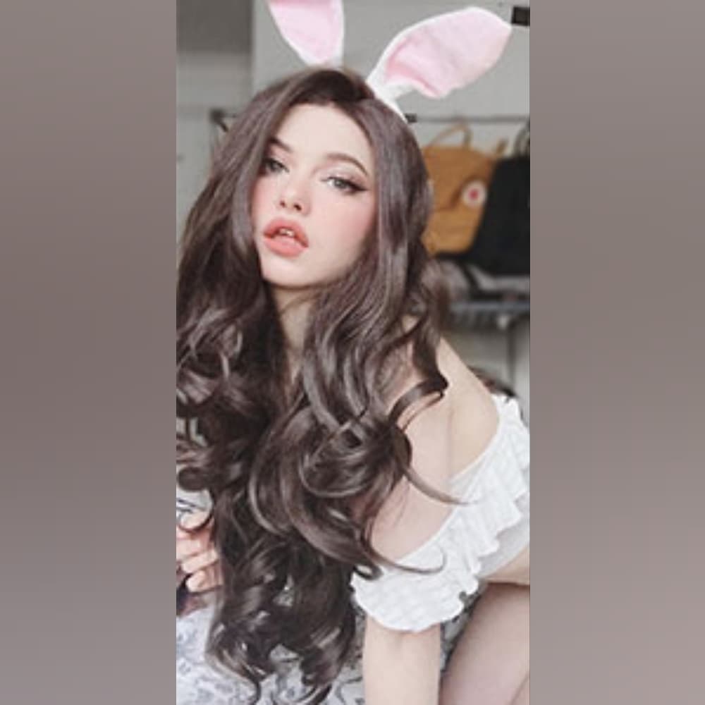 Brown Beauty Lace Front Wig