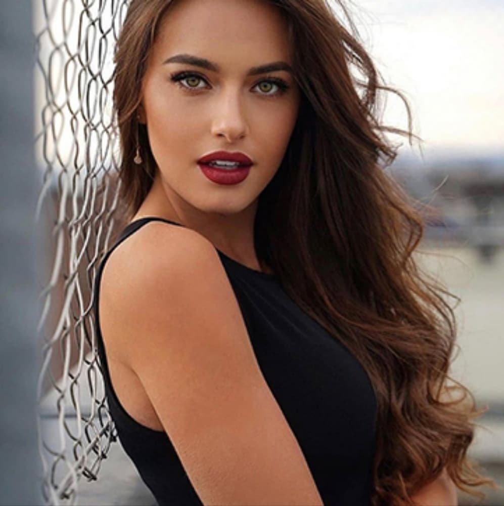 Brown Wavy Beauty Lace Front Wig