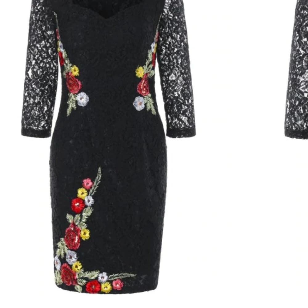 Embroidered Lace Mini Bodycon Dress - Thumbnail 4