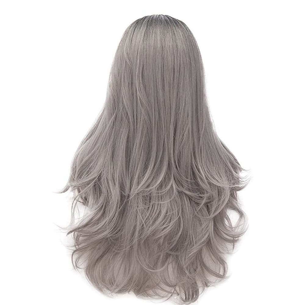 Ombre Black Gray Full Wig - Thumbnail 3