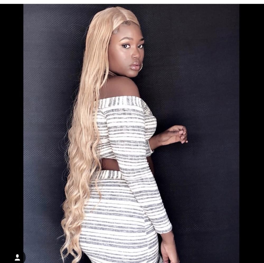 Blonde Beauty Human Hair Blend Wig