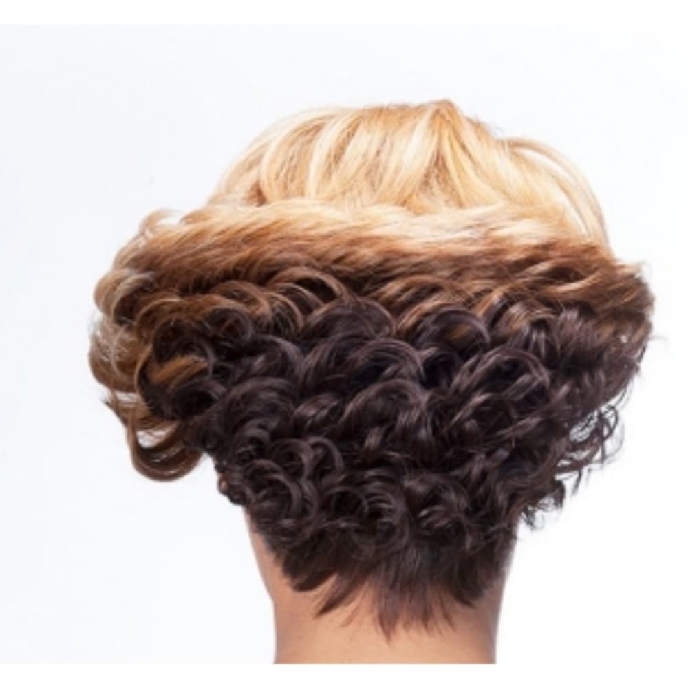 Blonde Brown Beauty Wig