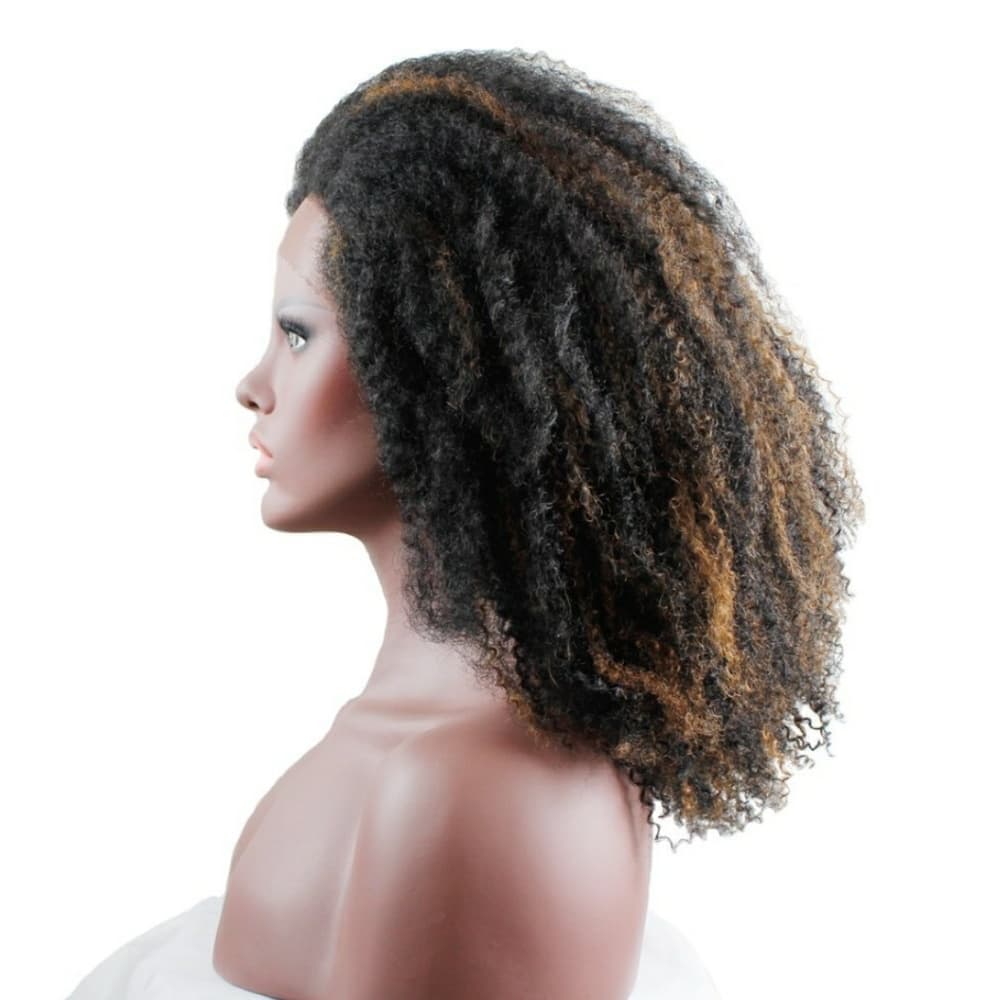 Afro Kinky Curly Lace Front Wig 12-14 inches!