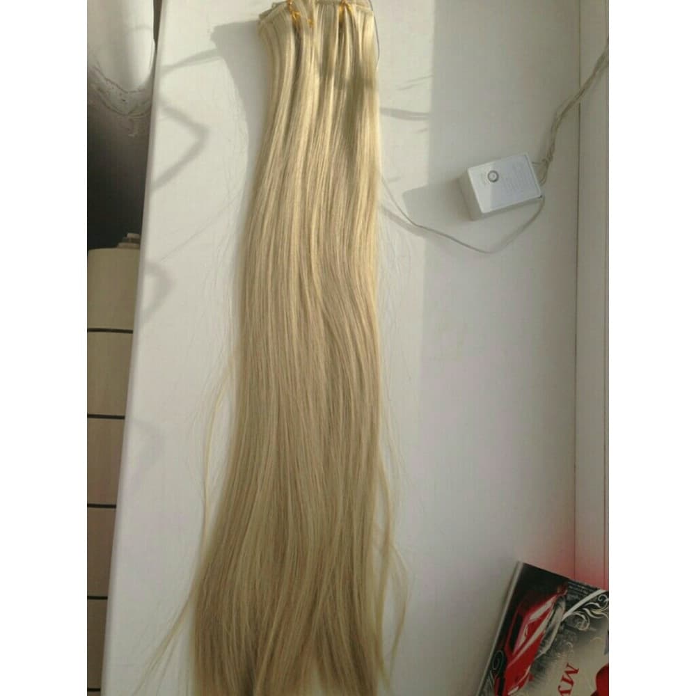 Blonde Beauty Clip In Extension #24/613
