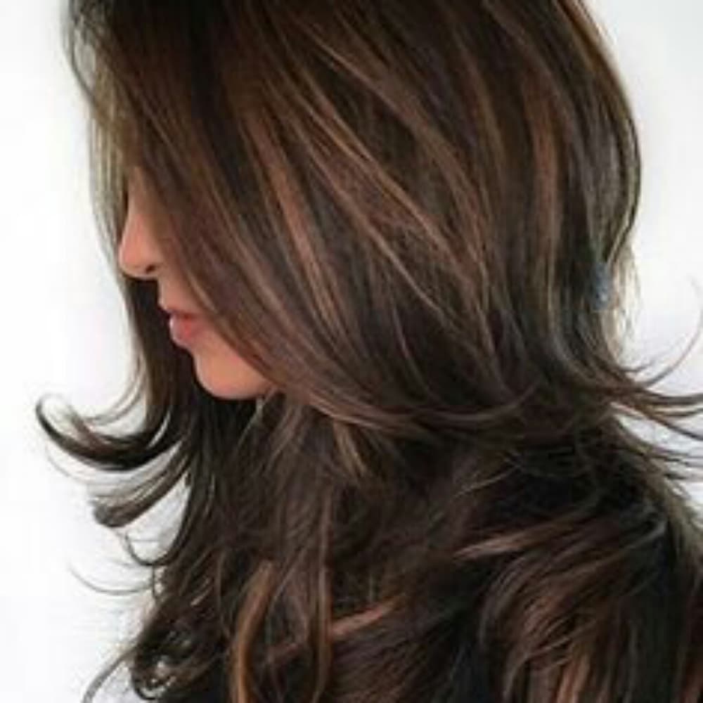 Beautiful Highlights Beauty Full Wig