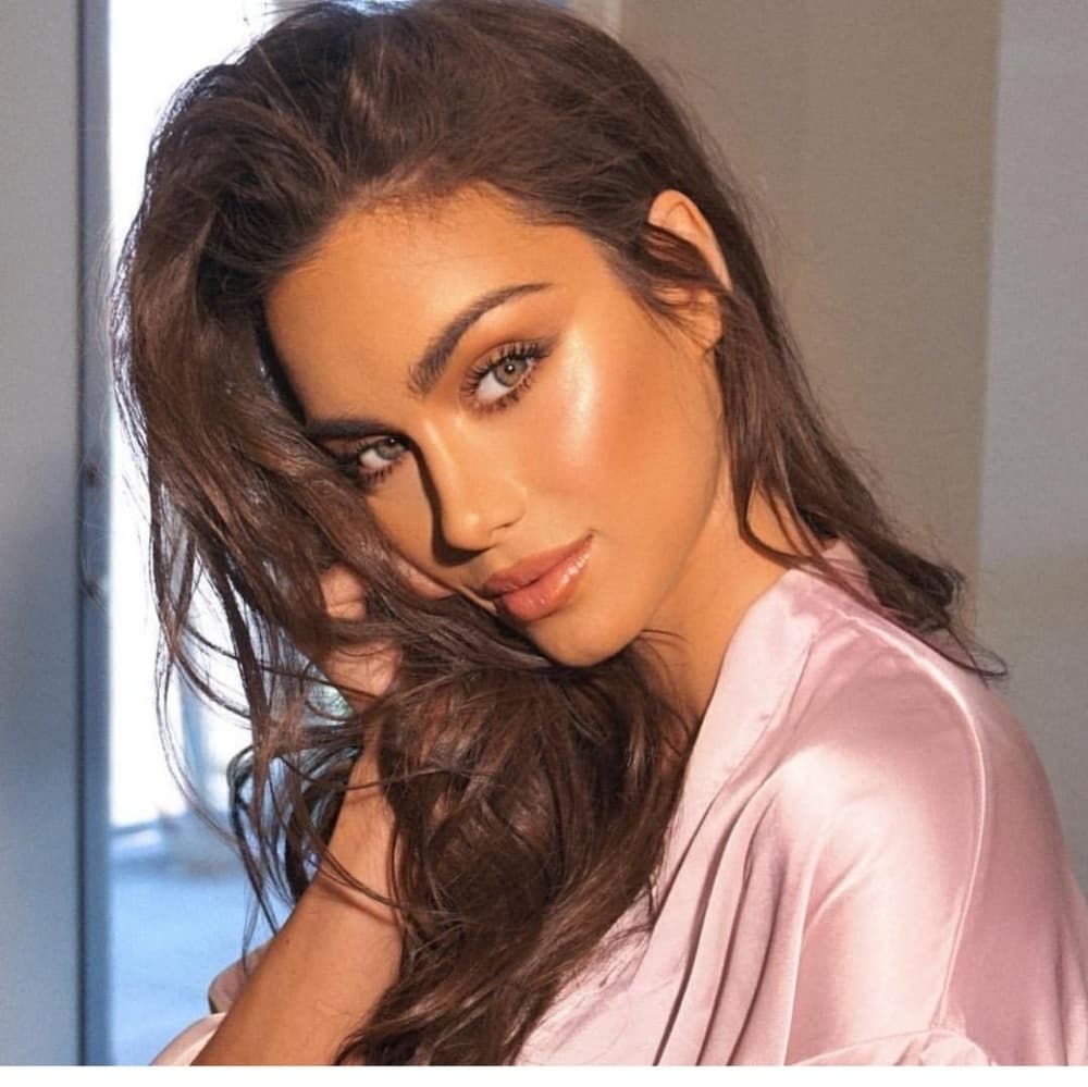 Brown Beauty Lace Front Wig