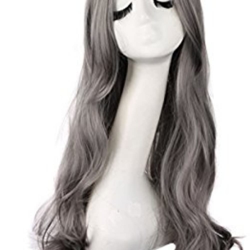 Grey Beauty Wig