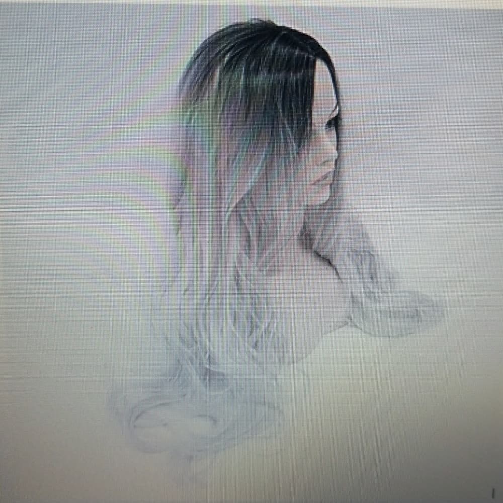 Black Grey Heat Resistant Wig - Thumbnail 2