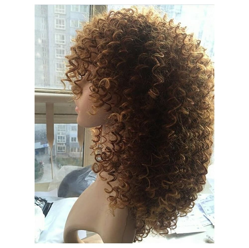 Brown Blonde Beauty Wig