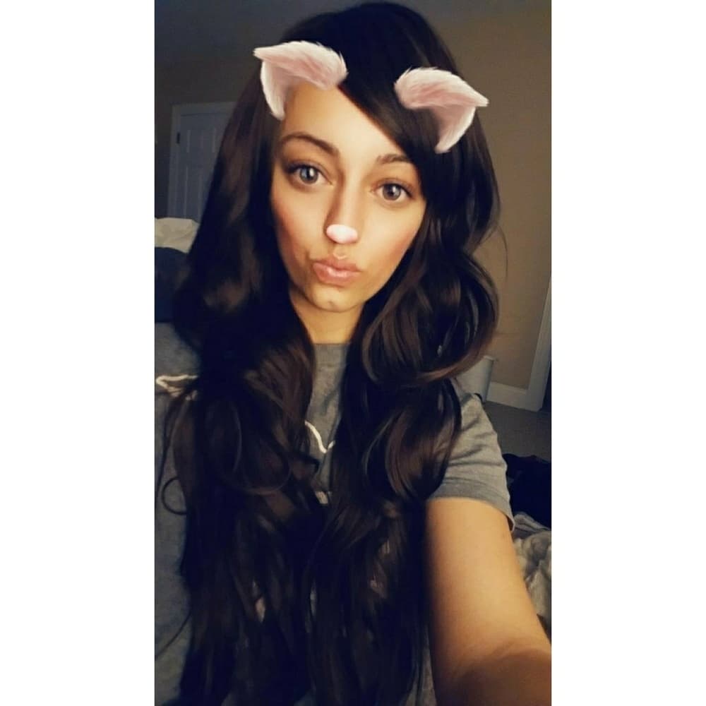 Brown Beauty Wig