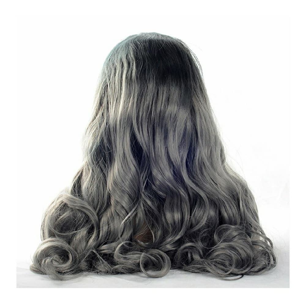 Gray Black Bodywave Beauty Lacefront Wig 22-24inch