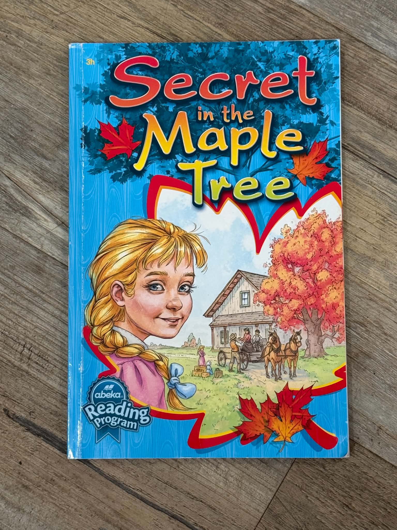 Abeka Children's Storybook