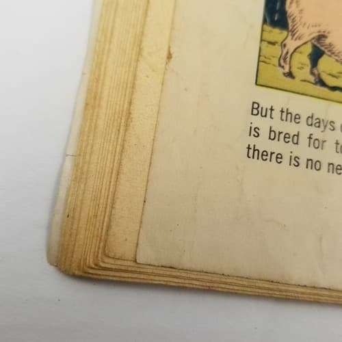 Dell Vintage Comic The Big Land A Movie Classic 1957 No. # No. 812 Golden Age - Thumbnail 10