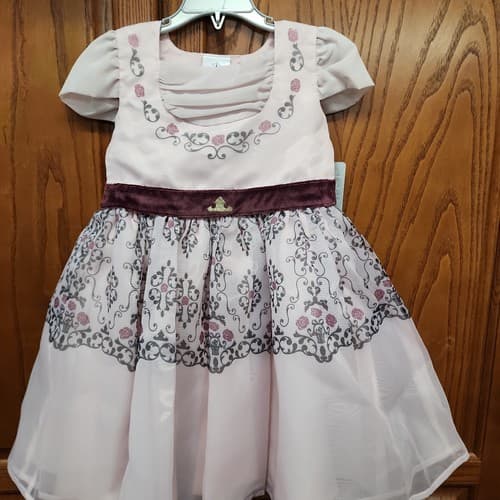 Disney Sleeping Beauty Girls Adaptive Party Dress Ruched Neckline, Pink, X-Small