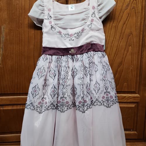Disney Sleeping Beauty Girls Adaptive Party Dress Ruched Neckline, Pink, XL