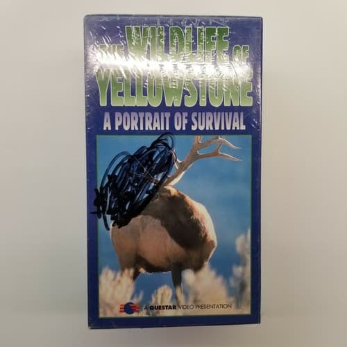 Wildlife Of Yellowstone A Portrait of Survival VHS 3-Tape Set NEW Questar - Thumbnail 5
