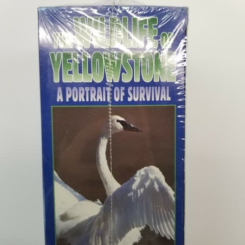 Wildlife Of Yellowstone A Portrait of Survival VHS 3-Tape Set NEW Questar - Thumbnail 4
