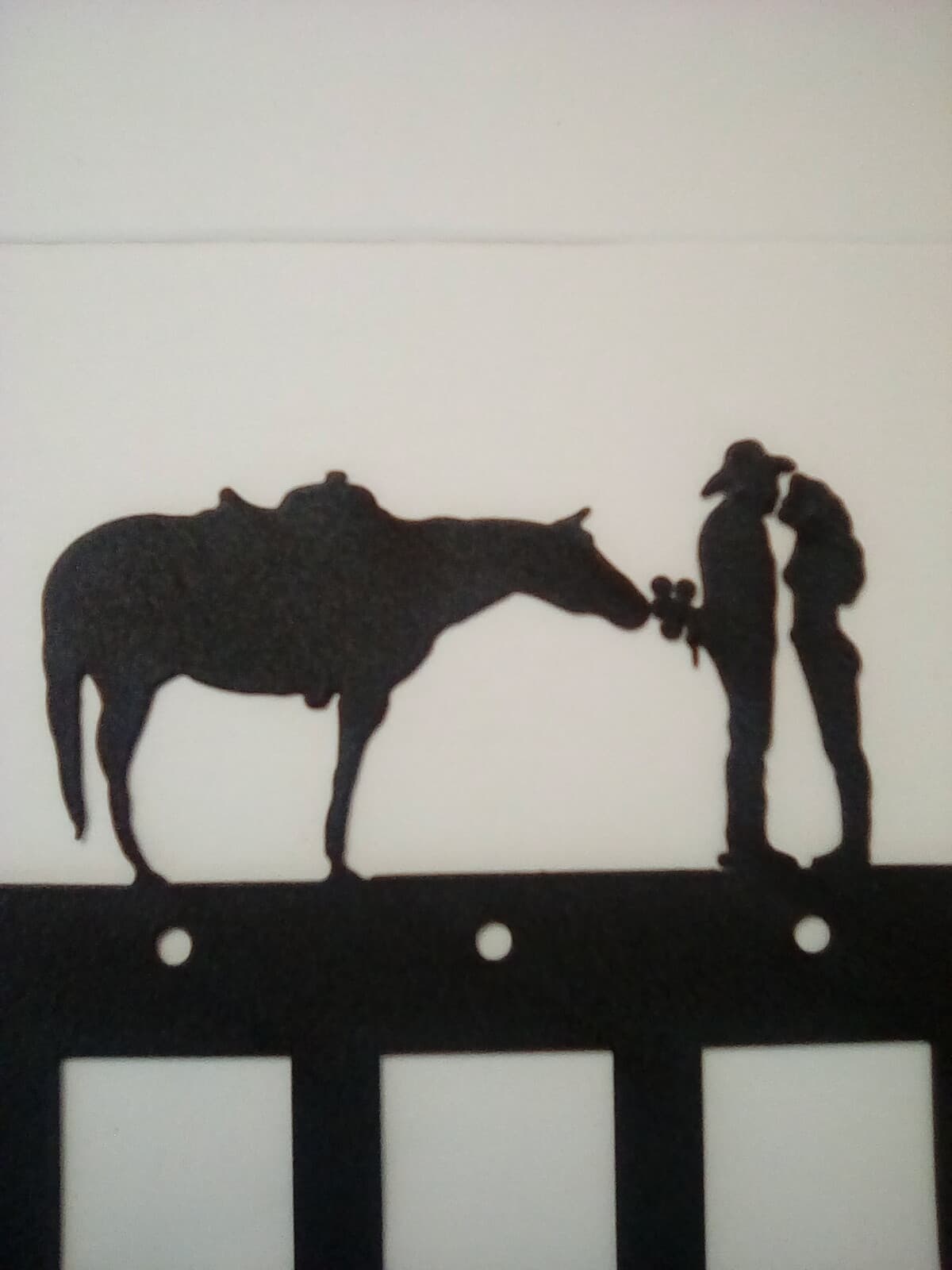 Triple Toggle Outlet Cover Cowboy Lady Love County Ranch Lodge Cabin Rustic New - Thumbnail 7