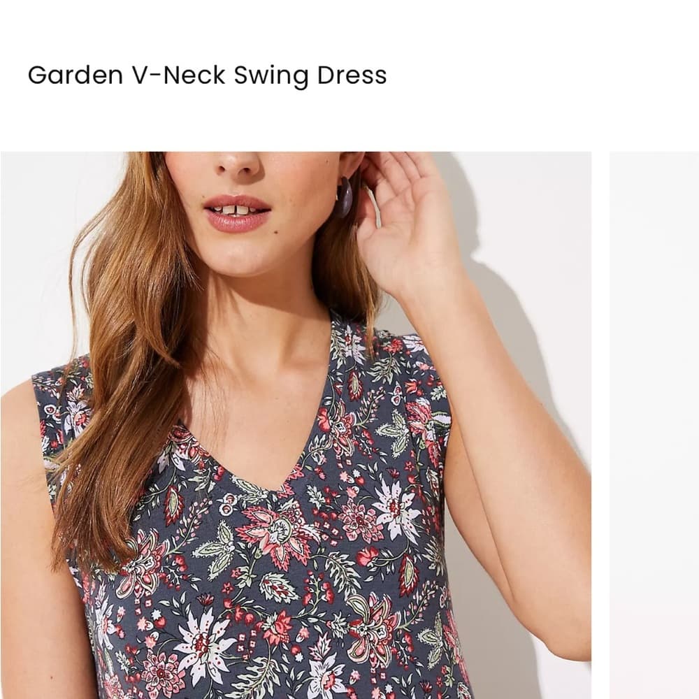 Ann Taylor Loft Sleeveless Floral V-Neck Dress Large