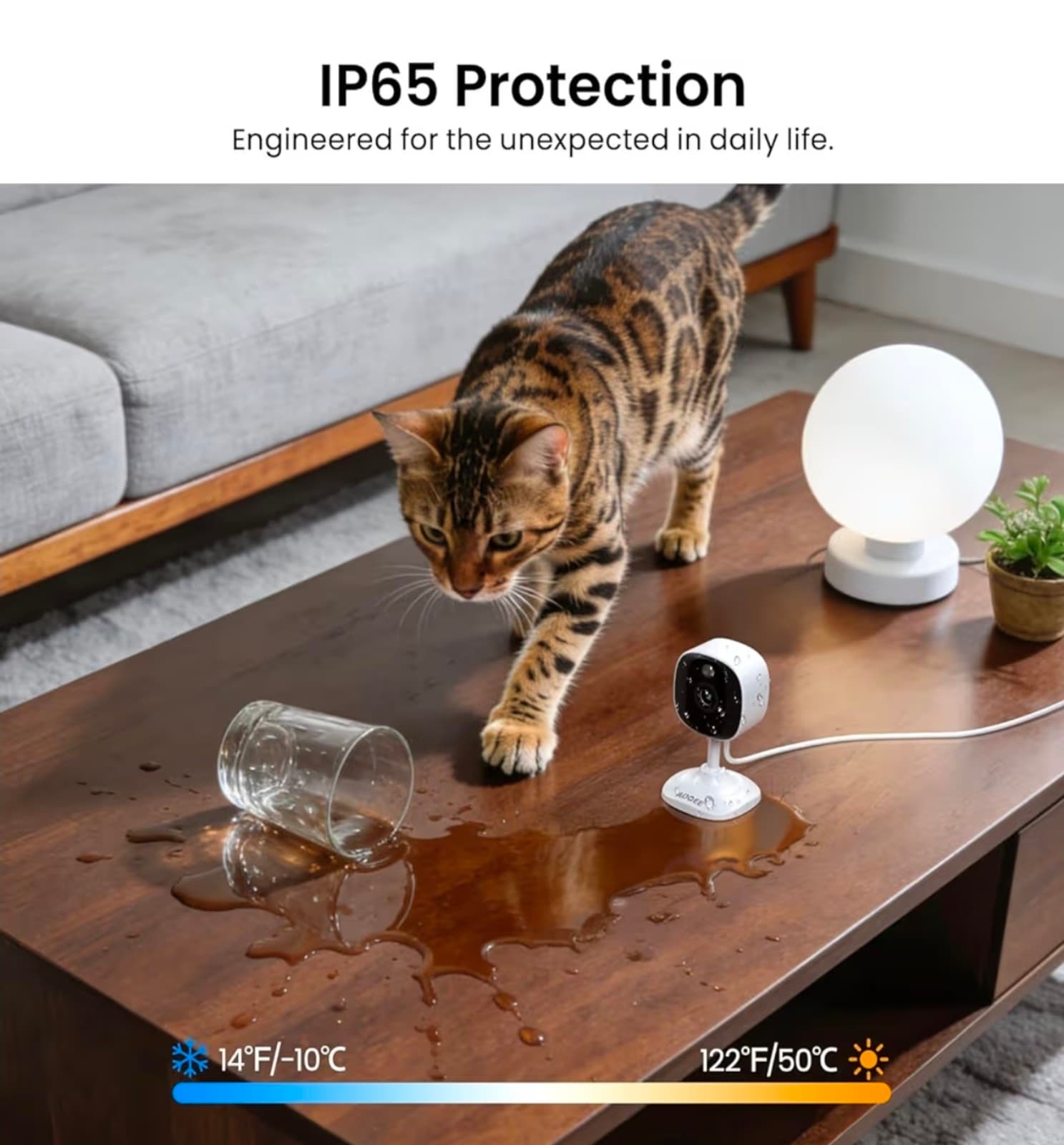 Home Security-Indoor/Outdoor Cameras - Thumbnail 5