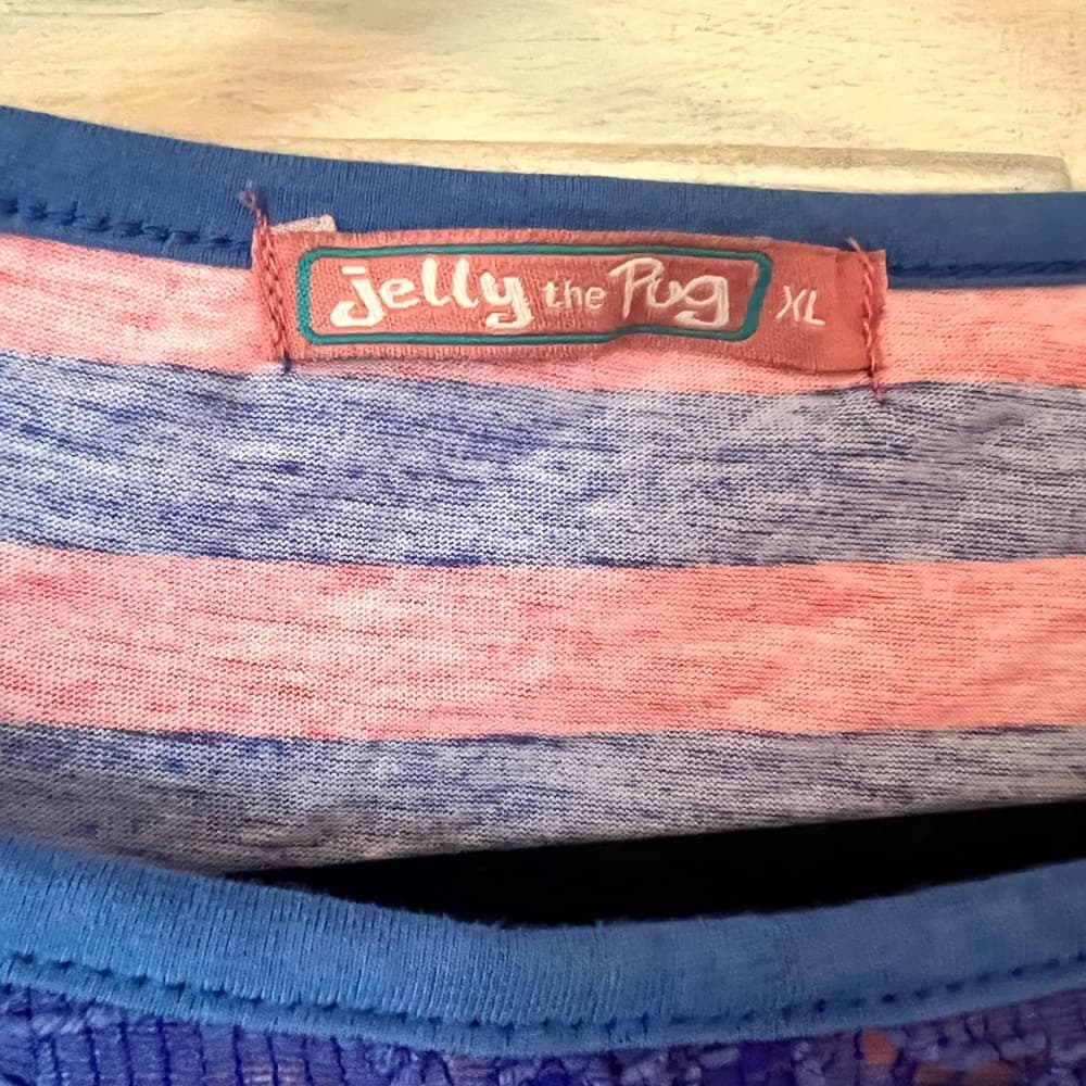 Jelly the Pug girls dress size XL with lace detailing EUC - Thumbnail 4