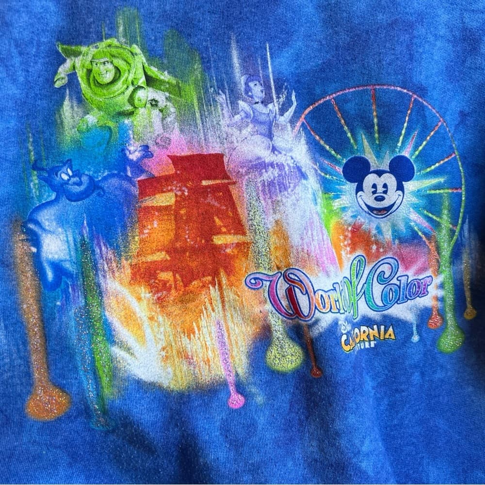 Disneyland Walt Disney World by Hanes World of Color zip up sweatshirt M - Thumbnail 4