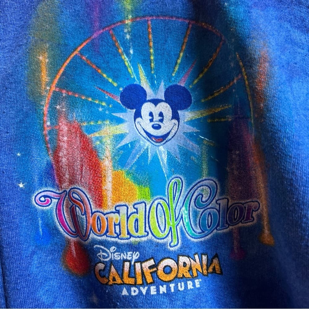 Disneyland Walt Disney World by Hanes World of Color zip up sweatshirt M - Thumbnail 3