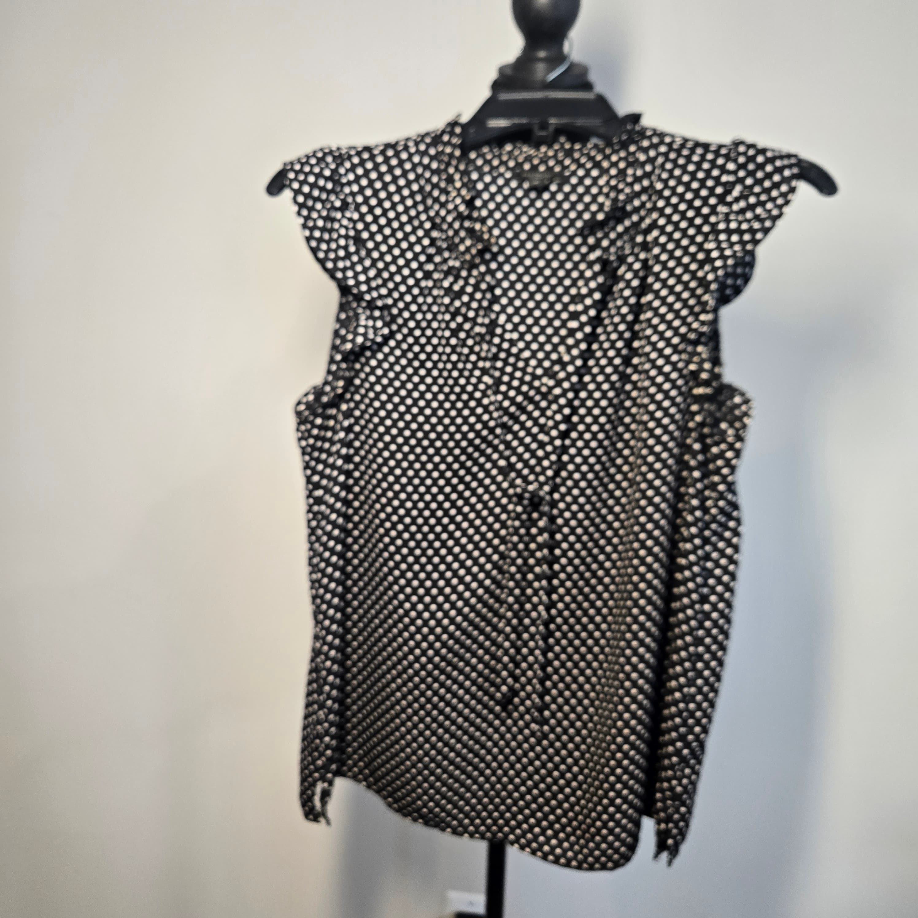 Ann Taylor Polka Dot Ruffle Blouse