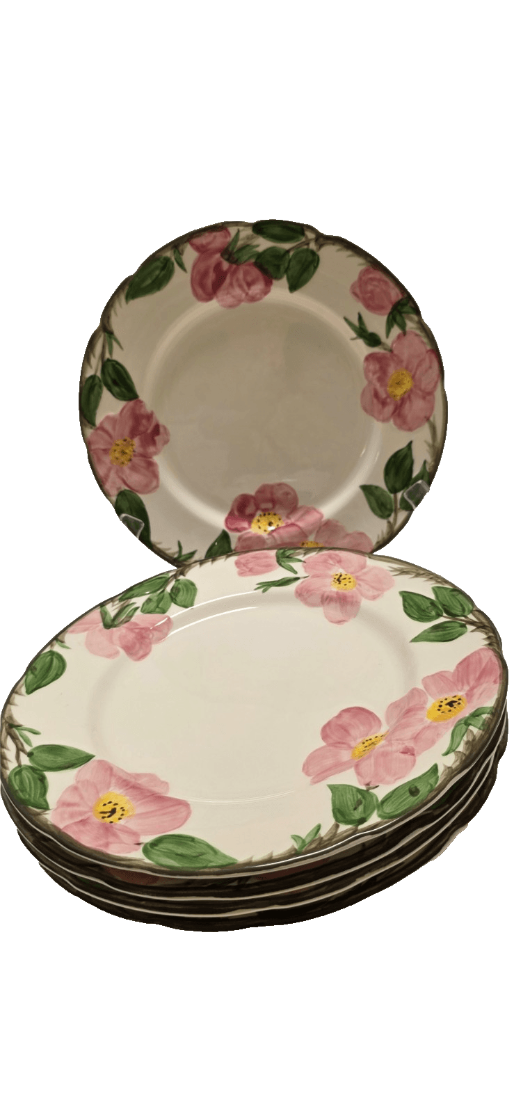 Franciscan Desert Rose 9.5" Luncheon / Breakfast Plate Made in USA / Interspace - Thumbnail 13