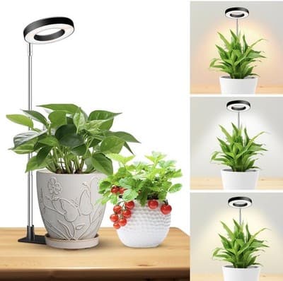 One Indoor Plant Grow Light Halo LED Adjustable Timer 10 Brightness Levels