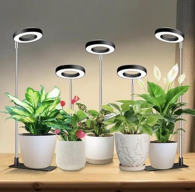 One Indoor Plant Grow Light Halo LED Adjustable Timer 10 Brightness Levels - Thumbnail 6