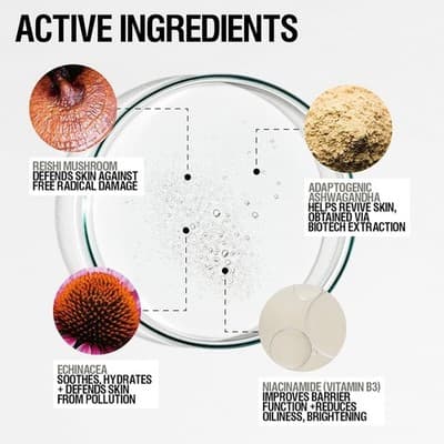 Grown Alchemist Skin Renewal Toner 100ml Hydrating Facial Mist - Thumbnail 3