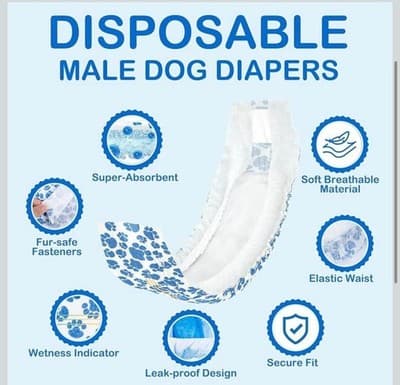 Dono Male Dog Diapers — Medium, 10 Count - Thumbnail 3